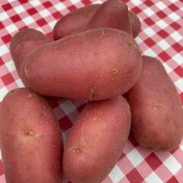 Aardappels Roseval Krieltjes 500 gram