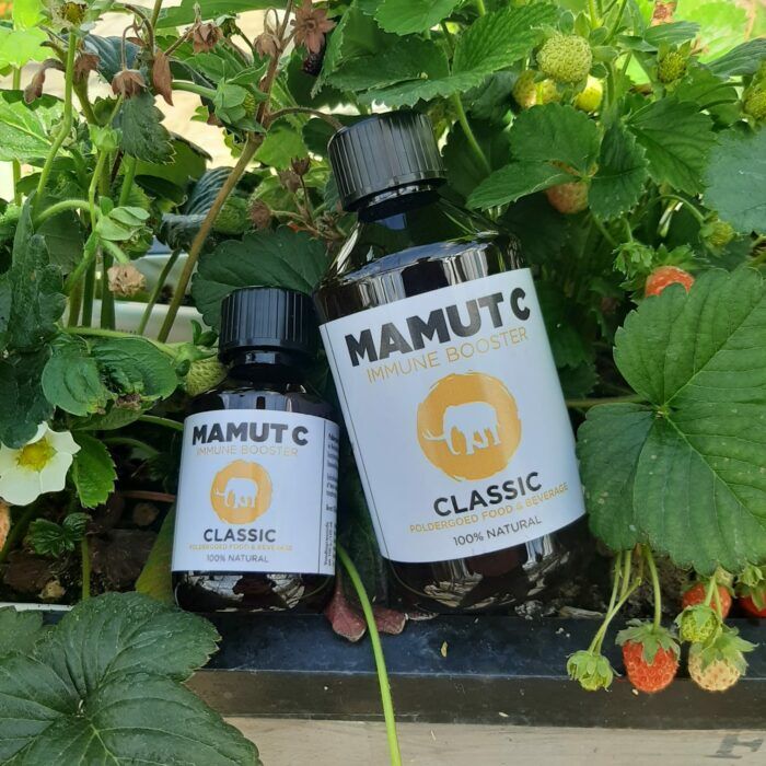 Mamut C  300ml