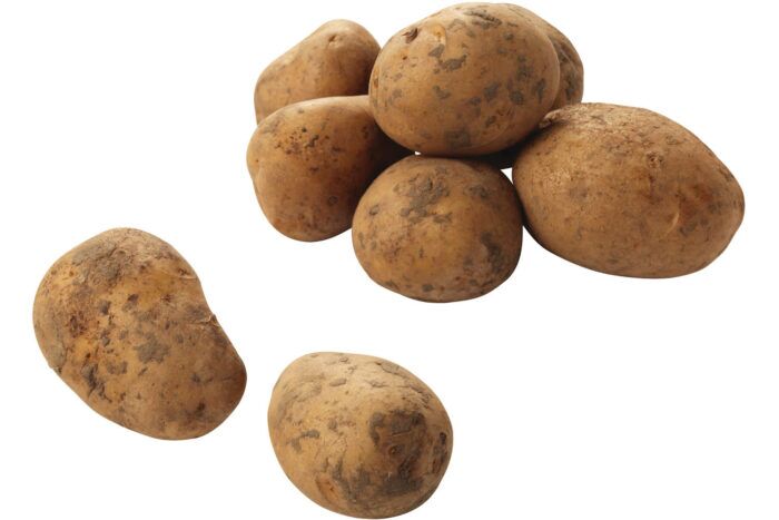 Aardappelen Nicola 1 kilo NIEUWE OOGST